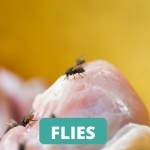 lake-balboa-los-angeles-fly-control-services