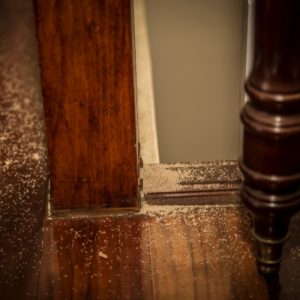 lake-balboa-los-angeles-termite-control-in-home